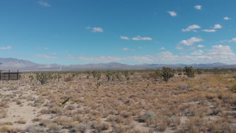 Eine-Schnelle,-Niedrige,-Rückwärts-Gerichtete-Luftaufnahme-Der-Wüste,-Bevor-Sie-Kalifornien-Verlassen-Und-Nach-Nevada-Einreisen