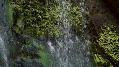 Close-up-of-tropical-waterfall-in-native-lush-New-Zealand-forrest