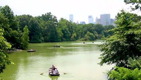 Boat-pedals-swimming-on-a-pond-in-the-Central-Park