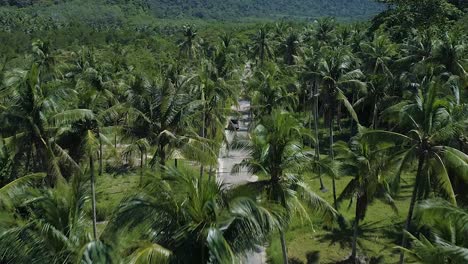 Aerial-of-a-truck-riding-on-an-empty-road-surrounded-by-Palm-Trees-at-Koh-Kood-Island,-Thailand