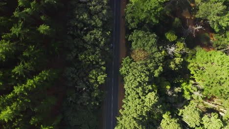 Vamos-De-Viaje-Por-Carretera