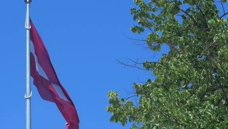 Large-Latvian-flag-waving-slow-on-blue-sky-in-sunny-day,-medium-shot-trough-the-green-tree