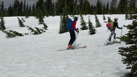 A-young-couple-cross-country-skiing-at-Paradise-on-Mount-Rainier-National-Park,-snow,-evergreen-trees,-Mostly-cloudy,-blue-skies