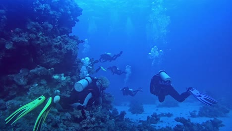 Group-of-divers-taking-a-turn-in-the-coral-reef-garden