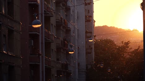 Pollen-particles-floating-in-the-air-among-street-lights-and-apartment-blocks-at-sunset,-Budapest,-Hungary