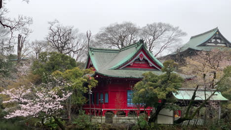 Relaxing-time-at-Inokashira-Benzaiten-Shrine-in-front-of-a-lake-with-cherry-blossom