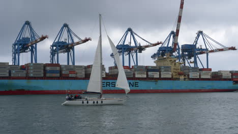 Sail-boat-sailing-in-front-of-a-Maersk-cargo-ship-docked-in-Genoa-harbor,-Italy