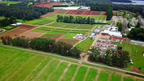 Right-to-left-fast-panning-aerial-view-of-the-Tesselaar-Tulip-Festival,-Victoria,-Australia