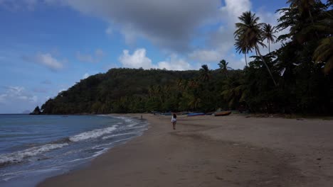 Eine-Frau,-Die-Am-Strand-Entlang-Geht,-Nachdem-Sie-Die-Petroglyphen-Der-Duquesne-Bay-Gesehen-Hat