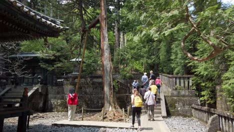 Gimbal-Walk-with-tourists-around-the-Toshogu-Shrine-temple-in-Nikko,-Japan,-between-trees