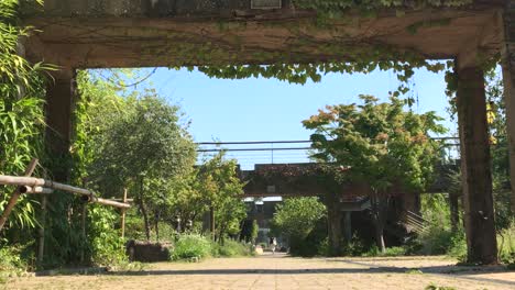 Eine-Frau-Macht-Einen-Spaziergang-Im-Seonyudo-Park,-Yanghwa-Dong,-Seoul,-Südkorea