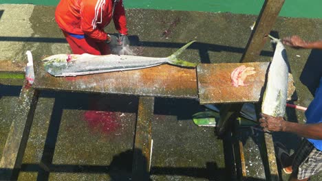 Reinigung-Von-Mahi-Mahi-Fischen-Nach-Einem-Angelausflug-Auf-Der-Karibikinsel-Tobago