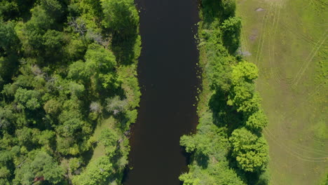 Luftaufnahme-Von-Oben-Auf-Einen-Dunklen-Fluss,-Der-Durch-Ein-Waldgebiet-Mit-Hütten-Und-Docks-Am-Ufer-Fließt