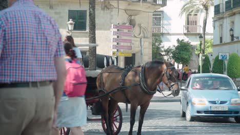 People-walk-by-touristic-horse-carriage-ride-with-woman-driver-by-street,-SLOWMO