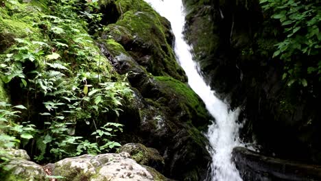 Nahaufnahme-Eines-Wasserfalls,-Der-über-Felsen-Plätschert,-Und-Eines-Umgestürzten-Baumes-Im-Wald