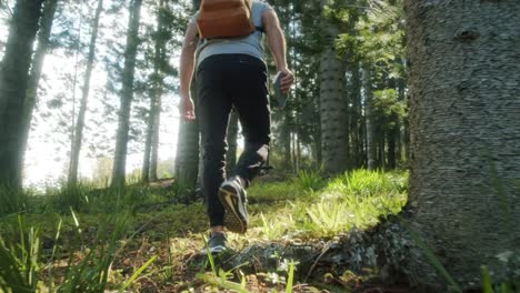 Young-man-with-a-backpack-on-is-hiking-in-the-woods-during-the-day-filmed-from-a-frog-perspective