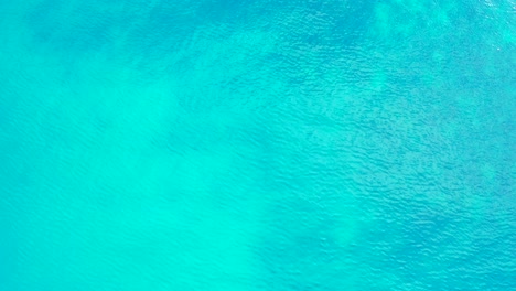 Beautiful-sea-surface-texture-with-vibrant-azure-water-of-shallow-lagoon-over-coral-patterns-near-shore-of-tropical-island,-Caribbean