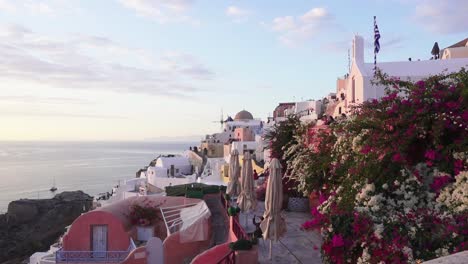 Pink-and-white-flowers-with-the-cityscape-of-Oia,-Santorini,-in-the-background