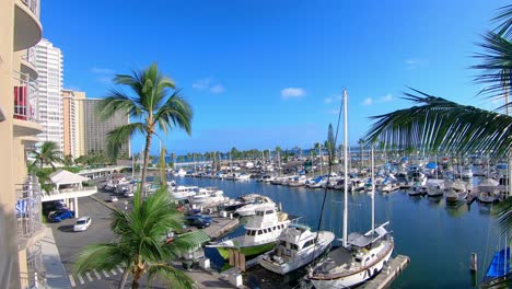 Various-types-of-ships-anchored-in-the-harbor-with-palm-trees-in-Hawaii