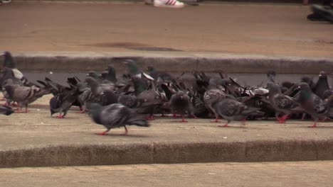 Feeding-the-pigeons-on-the-streets-of-Dublin-and-people-walking-by