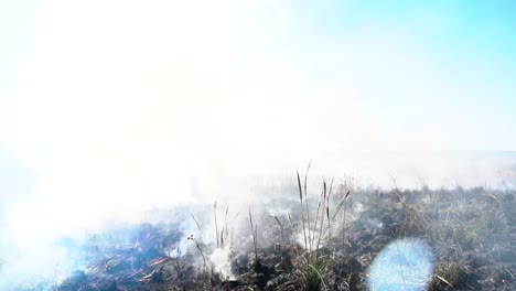Burned-farm-pasture-covered-in-ashes-and-smoke,-South-America,-wide-shot