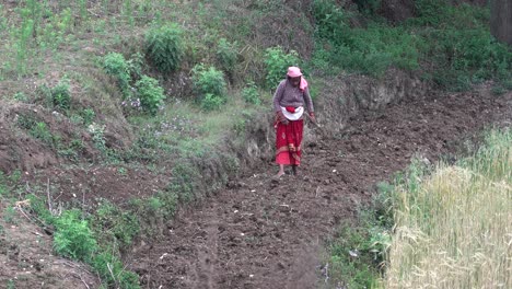 Katmandú,-Nepal---21-De-Abril-De-2020:-Una-Mujer-Que-Trabaja-En-Un-Campo-A-Las-Afueras-De-La-Ciudad-De-Katmandú,-Nepal