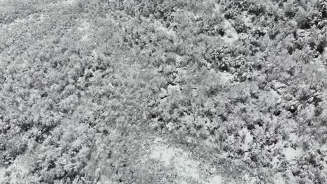 Drone-shot-of-wetlands-in-winter,-snowy-and-cloudy