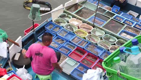 Pescador-Trabajando-En-El-Mercado-De-Pescado-Boat.hong-Kong