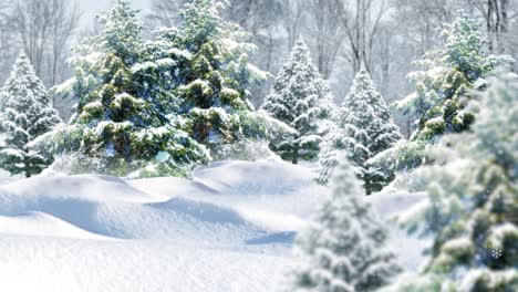 Animado,-árbol-De-Navidad-Con-Nieve-Blanca