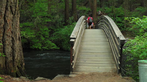 Menschen,-Die-Auf-Einer-Holzbrücke-über-Einen-Fließenden-Waldbach-Gehen,-In-Der-Nähe-Von-Burney-Falls,-Kalifornien