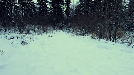 Walking-fast-along-snow-covered-path.-Walker-POV