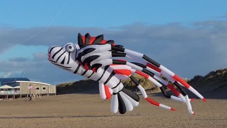 A-large-kite-in-the-shape-of-an-ornamental-fish-dances-in-the-wind-on-the-beach