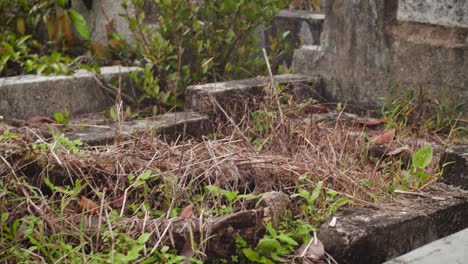 Tumba-Tradicional-Con-Hierba-Seca-Y-Troncos-De-Madera-En-Primer-Plano-En-El-Cementerio-Público-Cristiano-Gajah-Mada-Ujung-En-Medan,-Indonesia