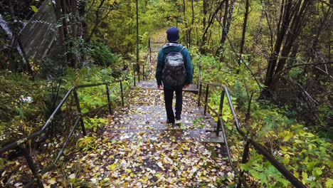 Person-Wandert-Auf-Treppenstufen-In-Einem-Wunderschönen-üppigen-Wald-In-Schweden