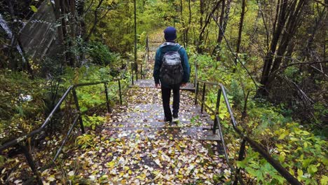 Persona-Haciendo-Senderismo-En-Los-Escalones-De-La-Escalera-En-Un-Hermoso-Bosque-Exuberante-En-Suecia