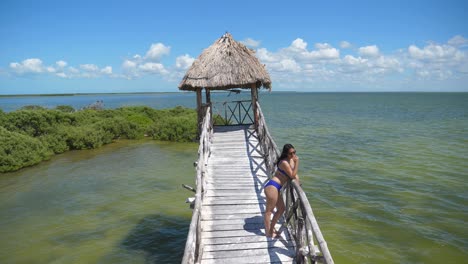 Tiro-De-Establecimiento,-Una-Mujer-En-Bikini-Parada-En-La-Torre-De-Madera-En-Baja-Sur,-México,-Manglar-Y-Cielo-Azul-En-El-Fondo