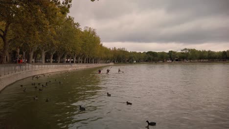 Three-canoeists-passing-on-an-urban-lake-under-an-overcast-sky