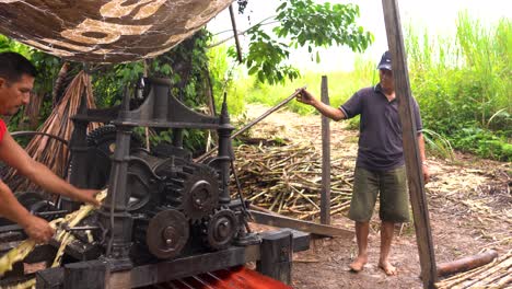 Indigenous-Men-operating-traditional-hopper-machine-in-outdoor-jungle-rum-distillery