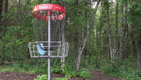 Disc-golf-basket-in-forest