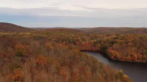 aerial-dolly-out-over-the-orange-colored-tree-tops-of-autumn-season---mountains-on-a-cloudy-day-at-the-New-Croton-Dam-in-Westchester-County,-NY