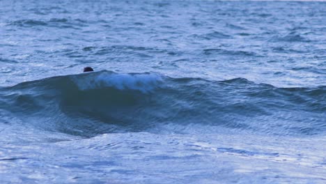 Surfer-Auf-Dem-Surfbrett-Paddeln-über-Wellen-In-Der-Nähe-Des-Karosta-Strandes-Der-Ostsee-Bei-Liepaja-Während-Eines-Wunderschönen,-Lebhaften-Sonnenuntergangs-Zur-Goldenen-Stunde,-Mittlerer-Schuss-Aus-Der-Ferne