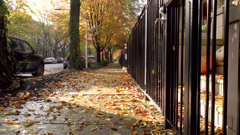 Gelbe-Herbstblätter-Auf-Einem-Bürgersteig-In-Der-Stadt