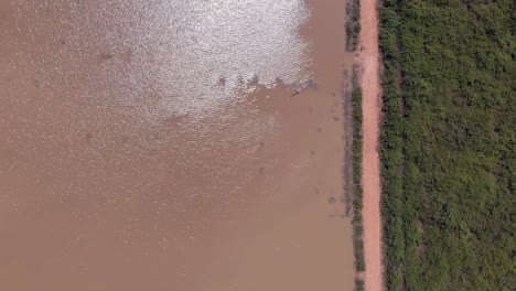 Aerial-View-of-Lake-and-Jungle-With-Dirt-Road-in-Between