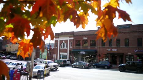 Maple-leaves-in-foreground-Downtown-Boone-NC-in-Background