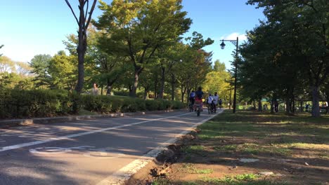 Gente-Andando-En-Bicicleta-En-El-Parque-Hosu,-Janghang-dong,-Ilsan-gu,-Goyang-si,-Gyeonggi-do,-Corea-Del-Sur