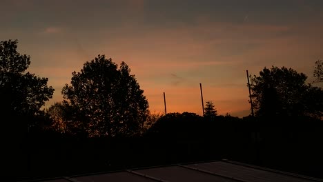 Natursilhouette-Von-Waldbäumen,-Während-Der-Goldenen-Stunde-Am-Morgen