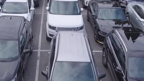 Cars-lined-up-at-a-car-dealership-for-sale