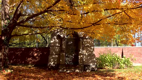 tomb-in-a-cemetery-under-yellow-autumn-leaves-4k