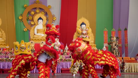 Löwentanz-Buddha-Geburtstagsfest,-Brisbane-2018-Löwentanzshow-Beim-Chinesischen-Neujahrsfest