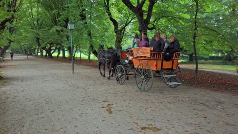 People-riding-a-horse-drawn-carriage-in-public-park